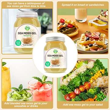 Organic Pineapple Sea Moss Gel for Health and Wellness