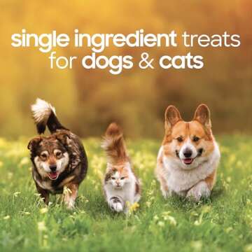Freeze-Dried Lamb Heart Treats for Dogs and Cats