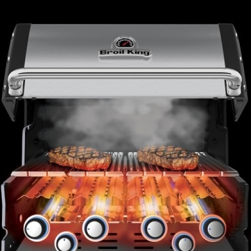 Broil King Regal S 590 Pro Gas Grill for Perfect BBQs