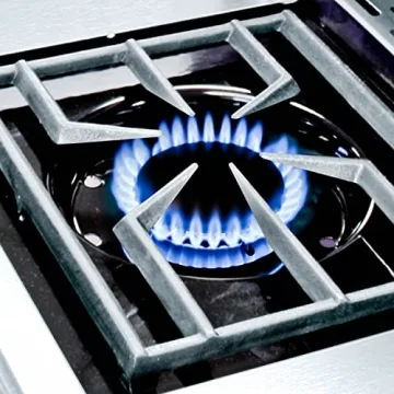 Broil King Regal S 590 Pro Gas Grill for Perfect BBQs