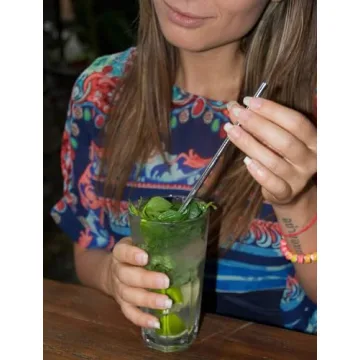 Eco-Friendly HuaQi Stainless Steel Straws Set of 10