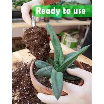 TOYPOPOR Potting Soil for All Indoor Houseplants, Contains Perlite, Peat Moss, Coco Coir and Rice Charcoal, Well Draining Potting Mix Light, Aerated Texture for Healthy Plant Roots and Fast Growth 1qt