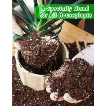 TOYPOPOR Potting Soil for All Indoor Houseplants, Contains Perlite, Peat Moss, Coco Coir and Rice Charcoal, Well Draining Potting Mix Light, Aerated Texture for Healthy Plant Roots and Fast Growth 1qt