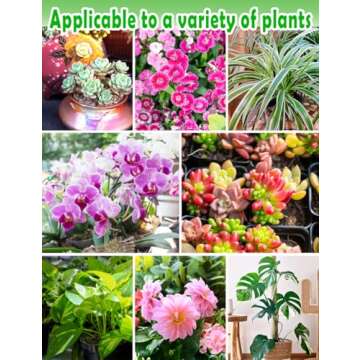 TOYPOPOR Potting Soil for All Indoor Houseplants, Contains Perlite, Peat Moss, Coco Coir and Rice Charcoal, Well Draining Potting Mix Light, Aerated Texture for Healthy Plant Roots and Fast Growth 1qt