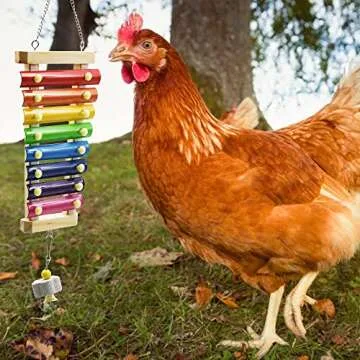 Chicken Swing Toys and Chicken Toys Xylophone, 2pcs Chicken Toys for Poultry Run Rooster Hens Chicks Pet Parrots Macaw Entertainment Stress Relief for Birds