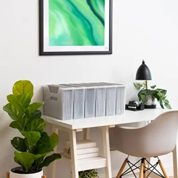 IRIS USA Small Portable 6 Pack File Box for Organization