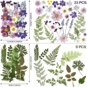 Nuanchu Pressed Flowers Bulk Dried Flower for Crafts, Dried Wildflowers Leave Natural with Tweezer for Resin Mold Scrapbooking Nail Soap Making DIY(Classic Style,Bright Colors)