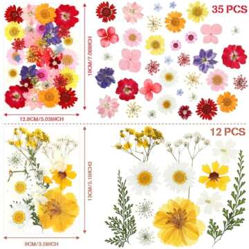 Nuanchu Pressed Flowers Bulk Dried Flower for Crafts, Dried Wildflowers Leave Natural with Tweezer for Resin Mold Scrapbooking Nail Soap Making DIY(Classic Style,Bright Colors)