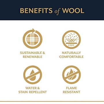 Pendleton Wool Motor Robe, Vintage Style Carrier Included