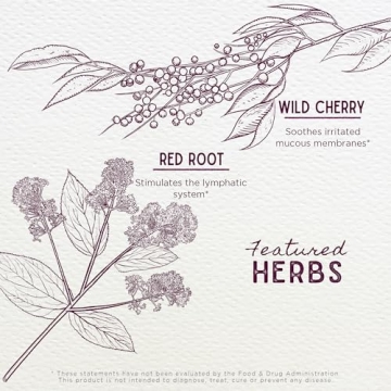 WishGarden Kick-It Cough for Kids Herbal Cough Relief