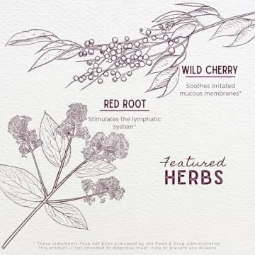 WishGarden Kick-It Cough for Kids Herbal Cough Relief