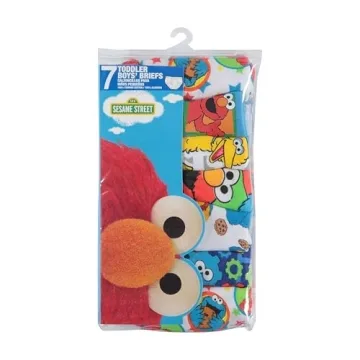 Sesame Street Character Panties for Potty Training Toddlers