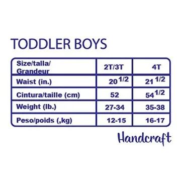 Sesame Street Character Panties for Potty Training Toddlers