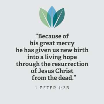 1 Peter: A Living Hope in Christ - Bible Study Book (Gospel Coalition)