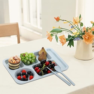 TOPZEA Unbreakable 4 Pack Divided Plates Set for Families