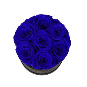 NATROSES Preserved Real Roses in a Box Roses That Last Up to 3 Years, Long Lasting Roses Gifts for Her, Valentines Day Gifts for Her (Royal Blue)