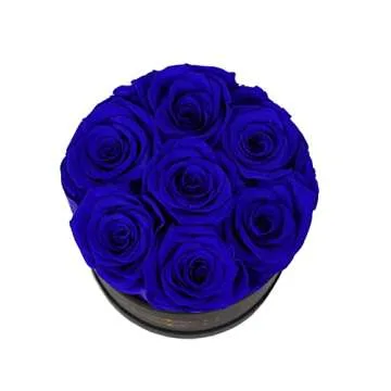 NATROSES Preserved Real Roses in a Box Roses That Last Up to 3 Years, Long Lasting Roses Gifts for Her, Valentines Day Gifts for Her (Royal Blue)