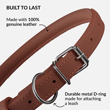 CollarDirect Rolled Leather Dog Collar for All Breeds