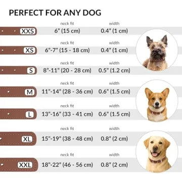 CollarDirect Rolled Leather Dog Collar for All Breeds