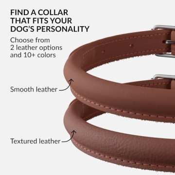 CollarDirect Rolled Leather Dog Collar for All Breeds