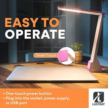 Lustrat LED Desk Lamp - Minimalistic Office Desk Lamp - Rechargeable Lamp with Bed, Study, and Work Desk Light Modes - Portable Table Desk Lamp for Back to School and Work from Home Set-up - Rose