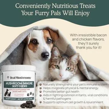 Mushroom Immune Support Pet Chews 60ct Treats for Dogs Booster Supplements Pets with Ashwagandha, Astragalus, Blueberry, Olive Leaf, Acerola Gut Health and Cats