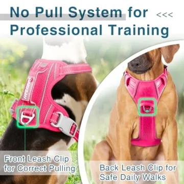 BARKBAY No Pull Dog Harness - Heavy Duty, Reflective, Adjustable