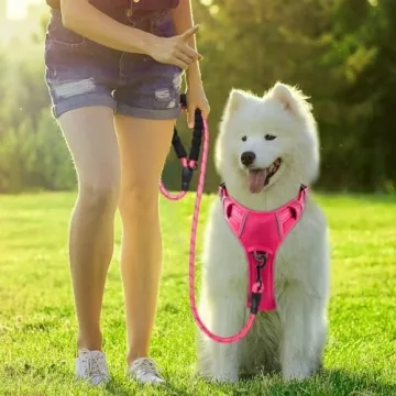 BARKBAY No Pull Dog Harness - Heavy Duty, Reflective, Adjustable