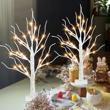 PEIDUO Christmas Birch Tree with LED Lights 2 FT