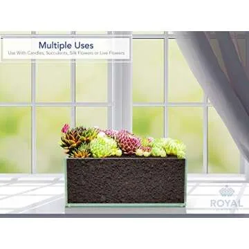 Royal Imports Flower Glass Vase Decorative Centerpiece for Home or Wedding - Oblong Rectangle Shape, 12" Long, 4" Hx4 W Opening, Clear
