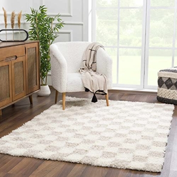 Hauteloom Etiler Checkered Shag Area Rug for Every Room