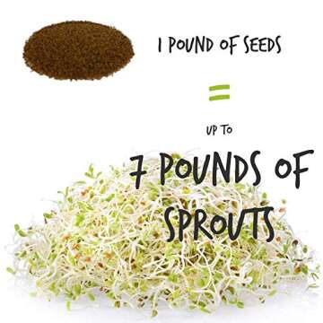Handy Pantry Organic Alfalfa Seeds for Fast Sprouting