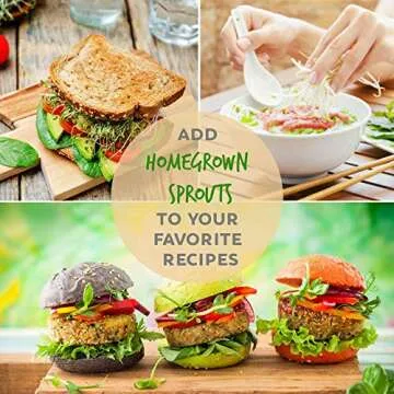 Handy Pantry Organic Alfalfa Seeds for Fast Sprouting