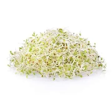 Handy Pantry Organic Alfalfa Seeds for Fast Sprouting