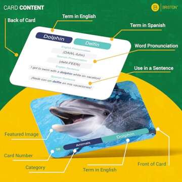 Spanish Vocabulary Flash Cards – 600 Full Color Cards [Updated 2024 Edition] Educational Language ...