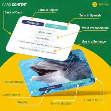 Spanish Vocabulary Flash Cards – 600 Full Color Cards [Updated 2024 Edition] Educational Language ...