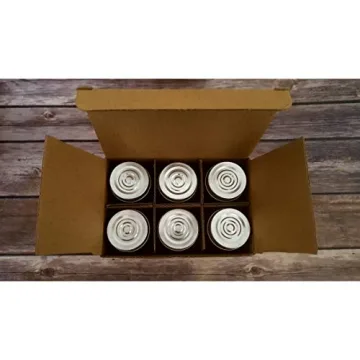 Sunshine Mason Mini Shot Glass Jars - Versatile Storage Solution