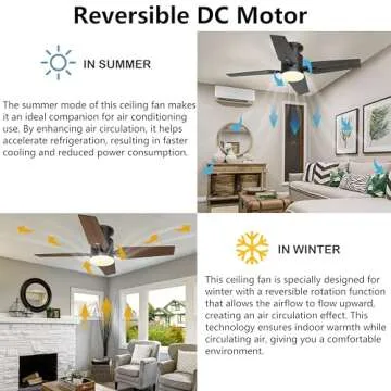 Ohniyou 40'' Ceiling Fan with Lights & Remote Control