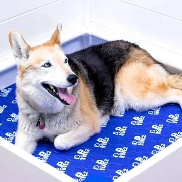 PUPez Whelping Box - Whelping Box for Dogs - 48"x48"x18" - Whelping Bed, Whelping Pen for Puppies, Whelping Box for Large Breed Dogs, Dog Whelping Box, Dog Birthing Box