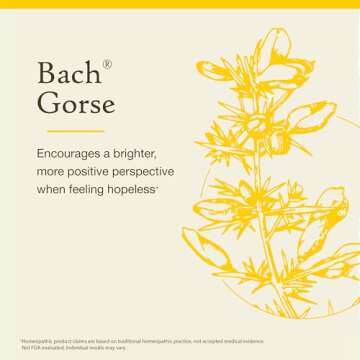 Bach Original Flower Remedies, Gorse - Have Hope - Natural Homeopathic Flower Essence for Emotional Balance - Vegan, Gluten Free, Sugar Free - 20mL Dropper