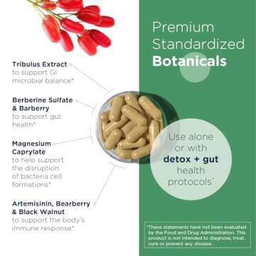 Designs for Health GI Microb-X - Botanical Gut Support, Cleanse + Detox Supplement with Tribulus, Berberine + Barberry Extract - Vegetarian + Non-GMO (60 Capsules)