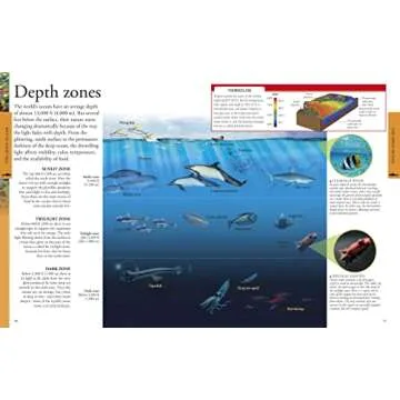 Ocean: A Visual Encyclopedia (DK Children's Visual Encyclopedias)