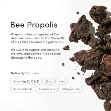 Beekeeper's Naturals Nasal Spray for Adults with Propolis, Xylitol & Saline, Clears Nasal Congestion, Moisturizes Sinus Canal, & Decongest Sinus Cavities, 1 fl oz(Pack of 2)