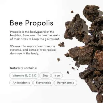 Beekeeper's Naturals Nasal Spray for Adults with Propolis, Xylitol & Saline, Clears Nasal Congestion, Moisturizes Sinus Canal, & Decongest Sinus Cavities, 1 fl oz(Pack of 2)