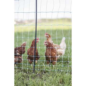 Starkline Standard Electric Poultry Netting 42" x 164' (11/42/3) Electric Chicken Fencing for Backya...