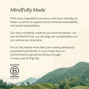 Yogi Spiced Blackberry Focus Tea - Organic Energy Booster