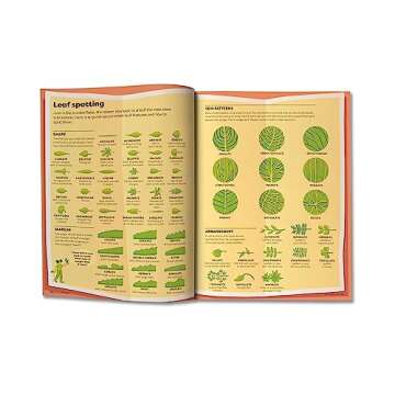 Engaging Britannica Encyclopedia Infographica for All Ages