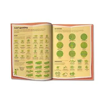 Engaging Britannica Encyclopedia Infographica for All Ages