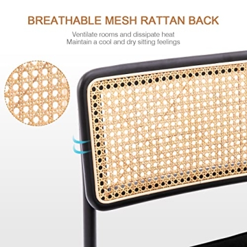 Zesthouse Dining Chairs Set of 2 - Modern Comfort and Style