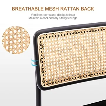 Zesthouse Dining Chairs Set of 2 - Modern Comfort and Style